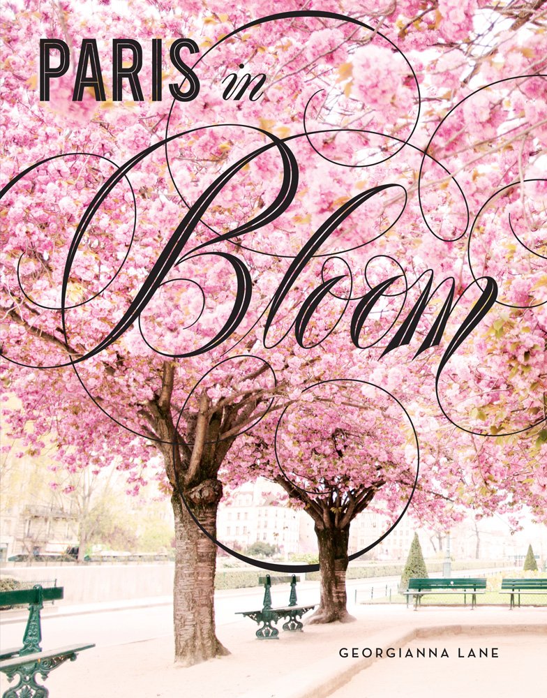 capítulo por capítulo baixar Paris in Bloom