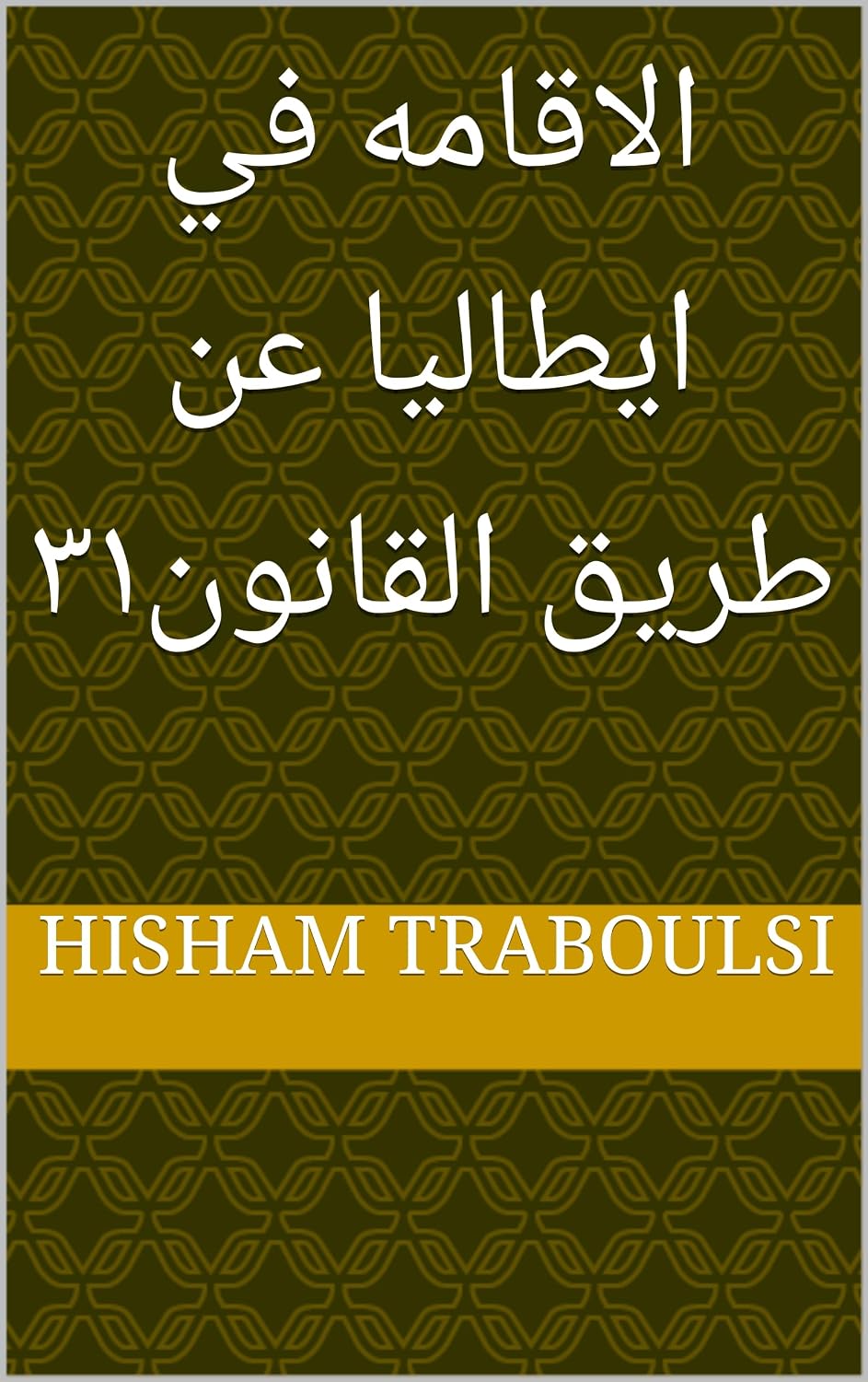 الاقامه في ايطاليا عن طريق القانون٣١ (Arabic Edition) baixar o livro de graça
