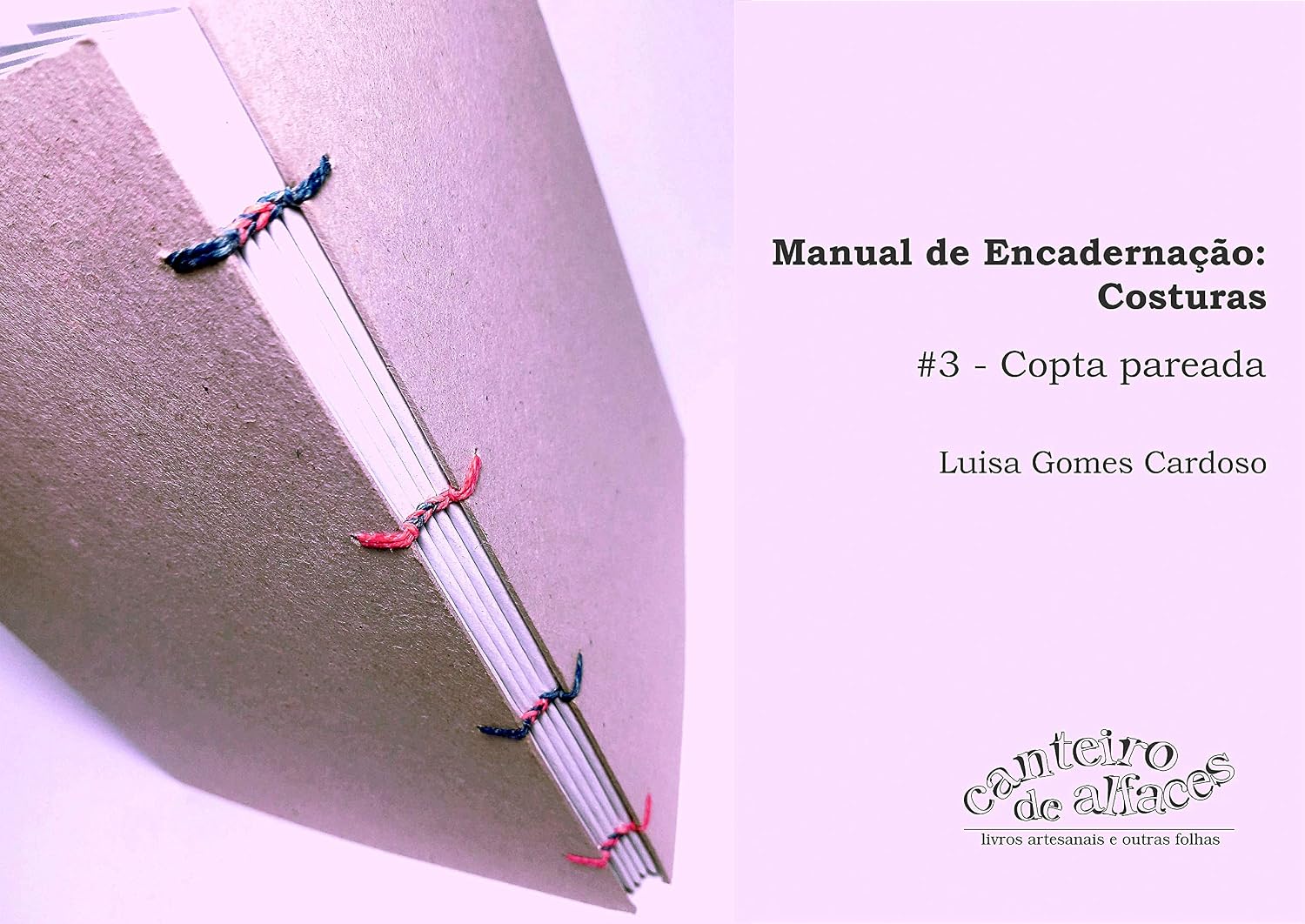 ler totalmente Manual de Encadernação: Costuras: #3 - Copta pareada