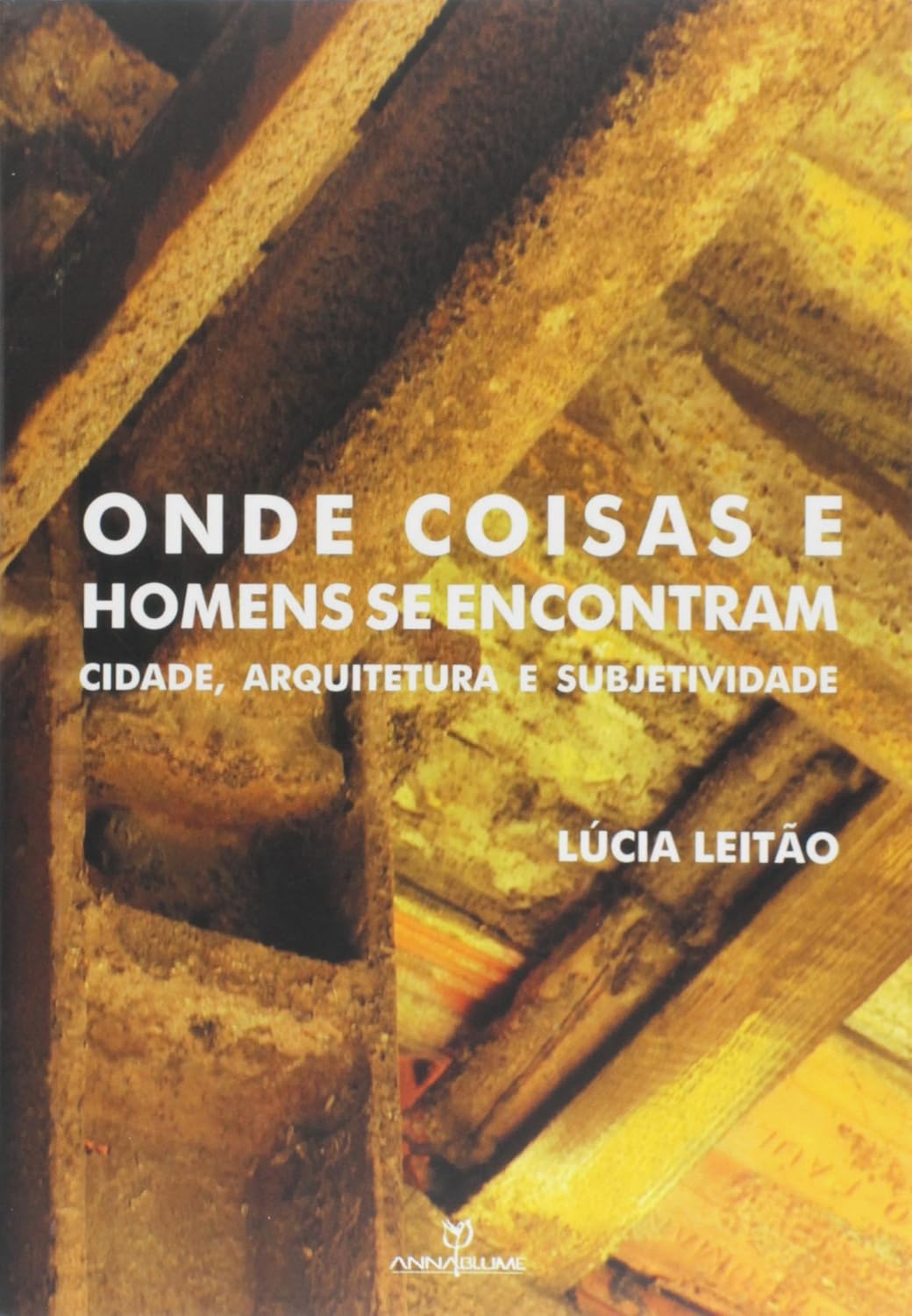 Onde Coisas e Homens Se Encontram. Cidade, Arquitetura e Subjetividade