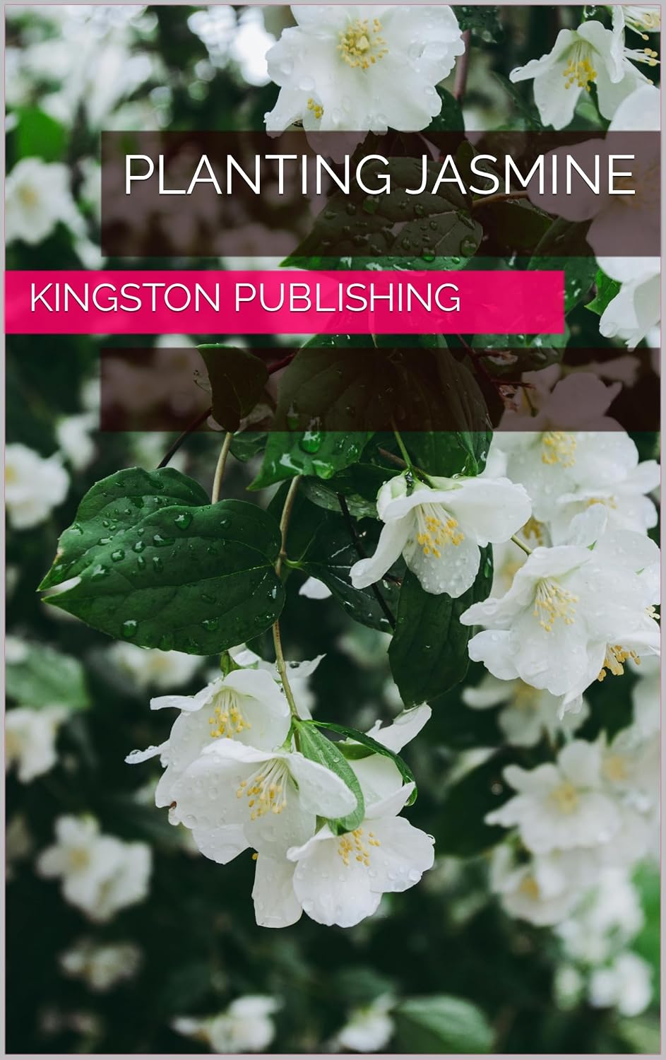 Planting Jasmine (Flowers) (English Edition) baixar o livro de graça