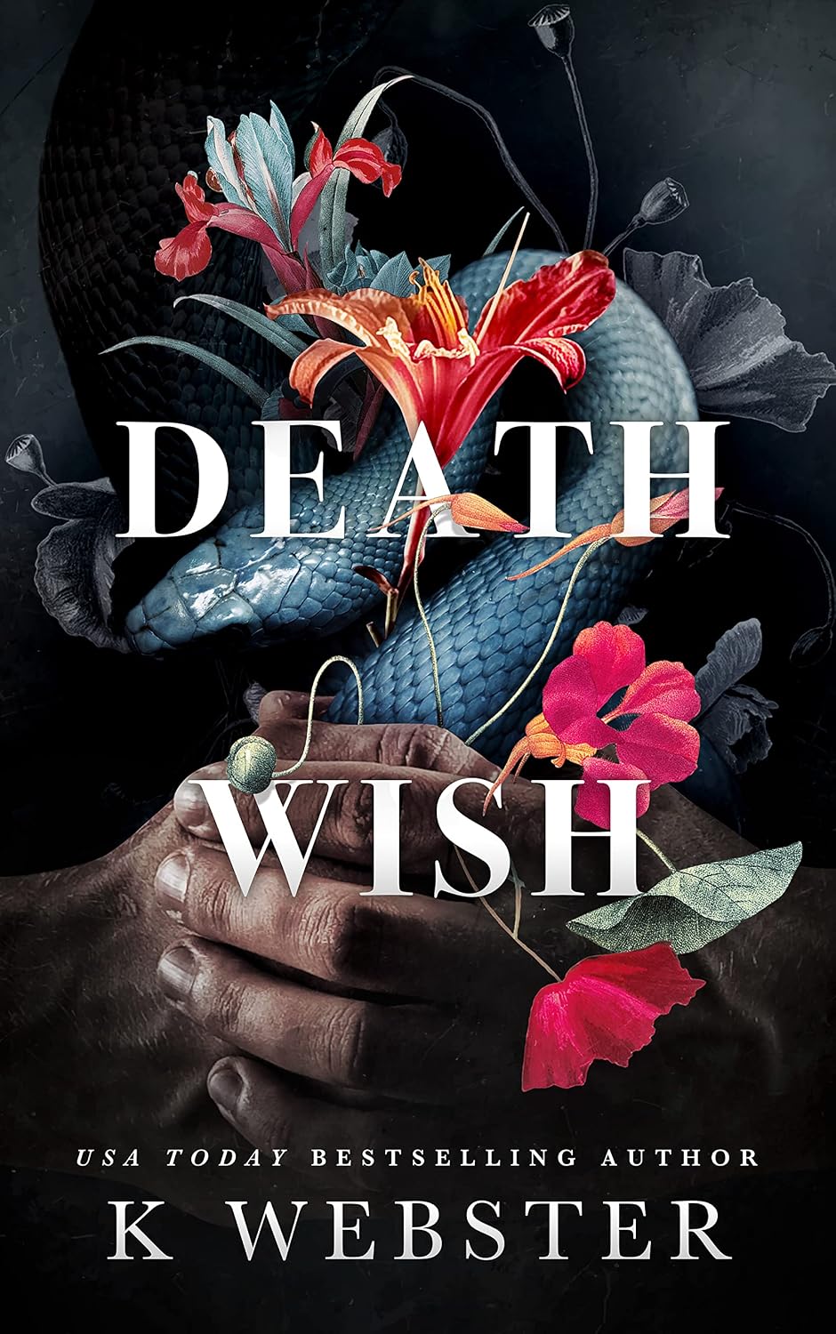 Death Wish (Deception Duet Book 2) (English Edition)