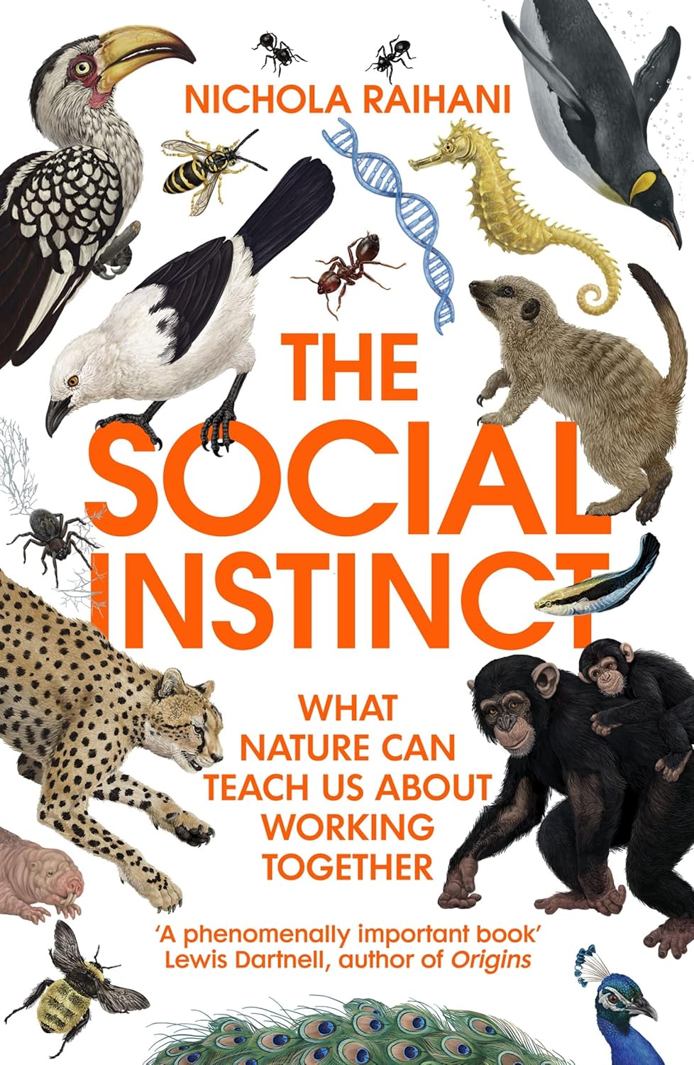 The Social Instinct: How Cooperation Shaped the World (English Edition)