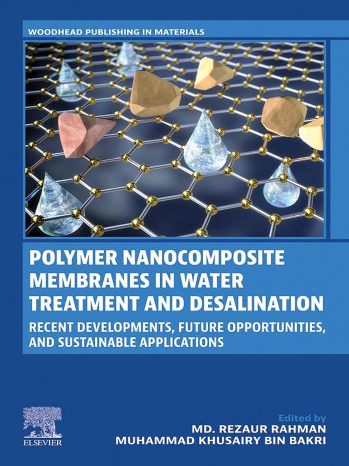 ler totalmente Polymer Nanocomposite Membranes in Water Treatment and Desalination: Recent Developments, Future Opportunities, and Sustainable Applications (Woodhead Publishing in Materials) (English Edition)