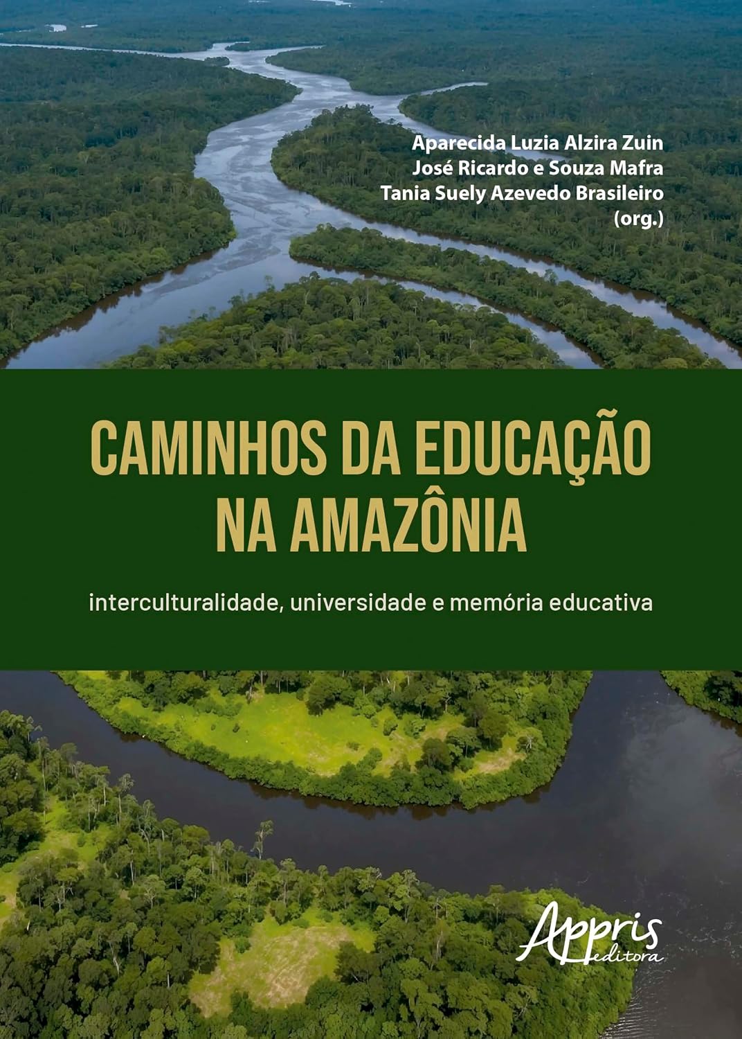 capítulo por capítulo baixar Caminhos da Educação na Amazônia: Interculturalidade, Universidade e Memória Educativa