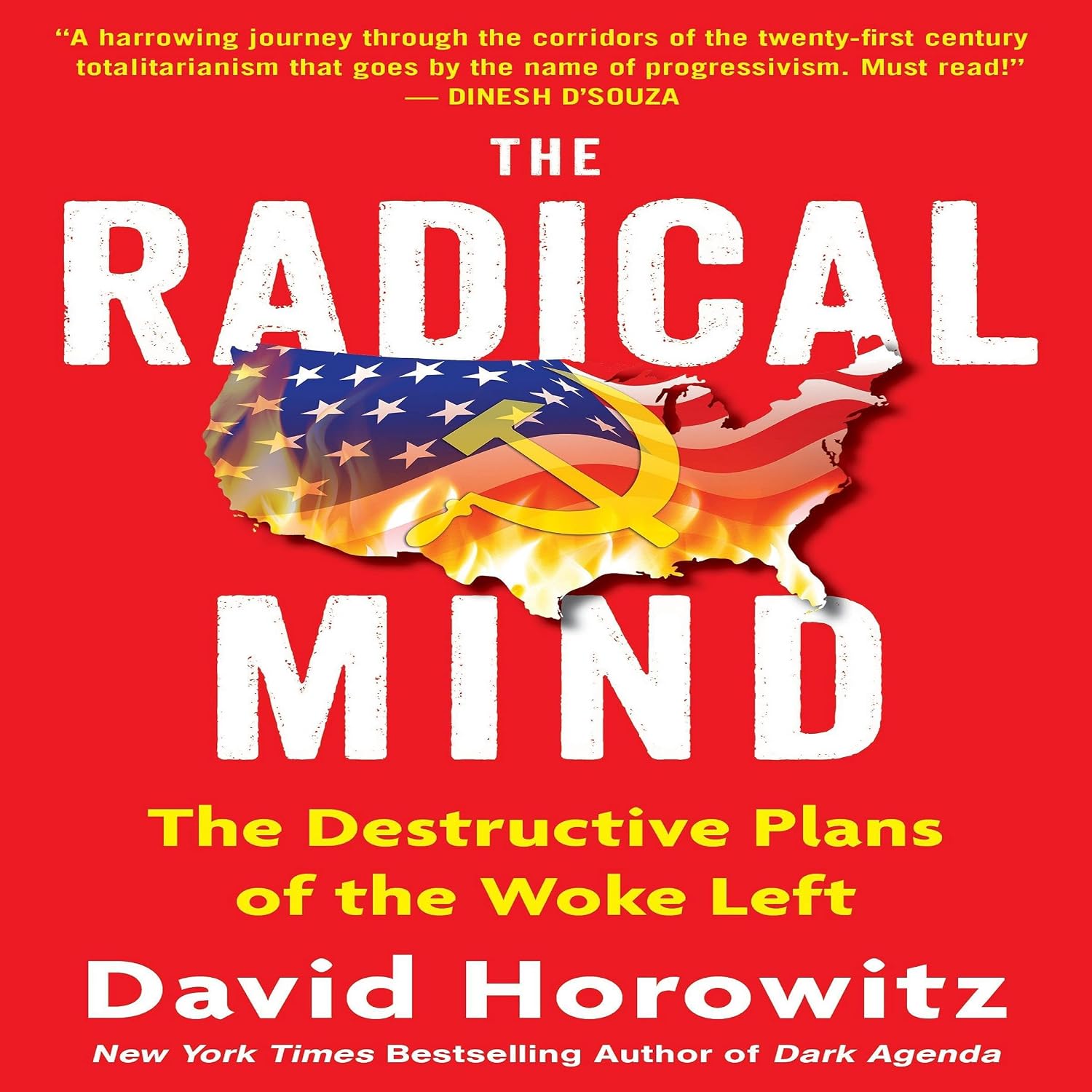 The Radical Mind: The Destructive Plans of the Woke Left baixar livro de graça