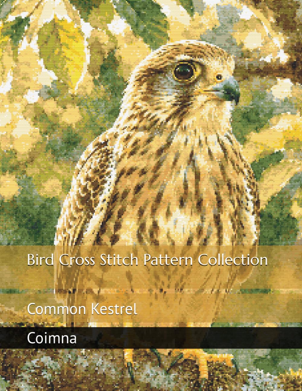Bird Cross Stitch Pattern Collection: Common Kestrel