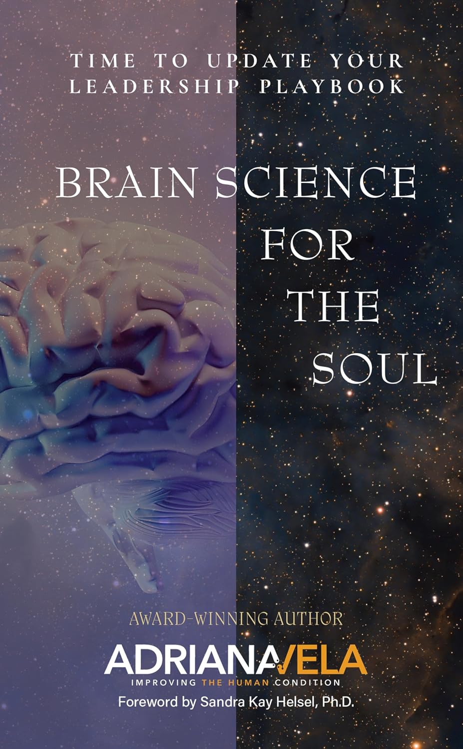 Brain Science For The Soul: Time To Update Your Leadership Playbook (English Edition) baixar livro de graça