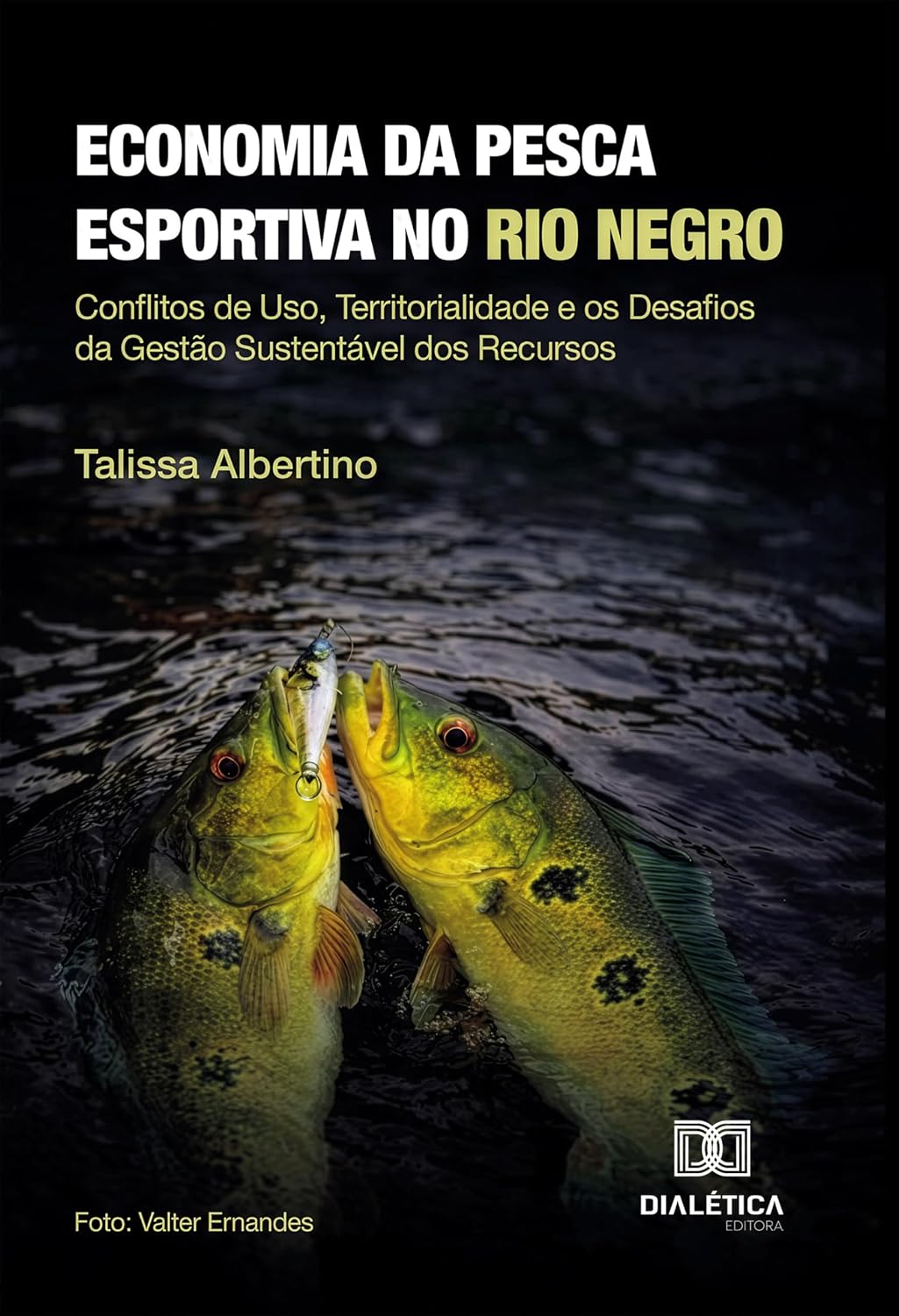 A Dinâmica da Pesca Esportiva no Médio Rio Negro (Amazonas): Conflitos de Uso, Territorialidade e os Desafios da Gestão Sustentável dos Recursos baixar o livro de graça
