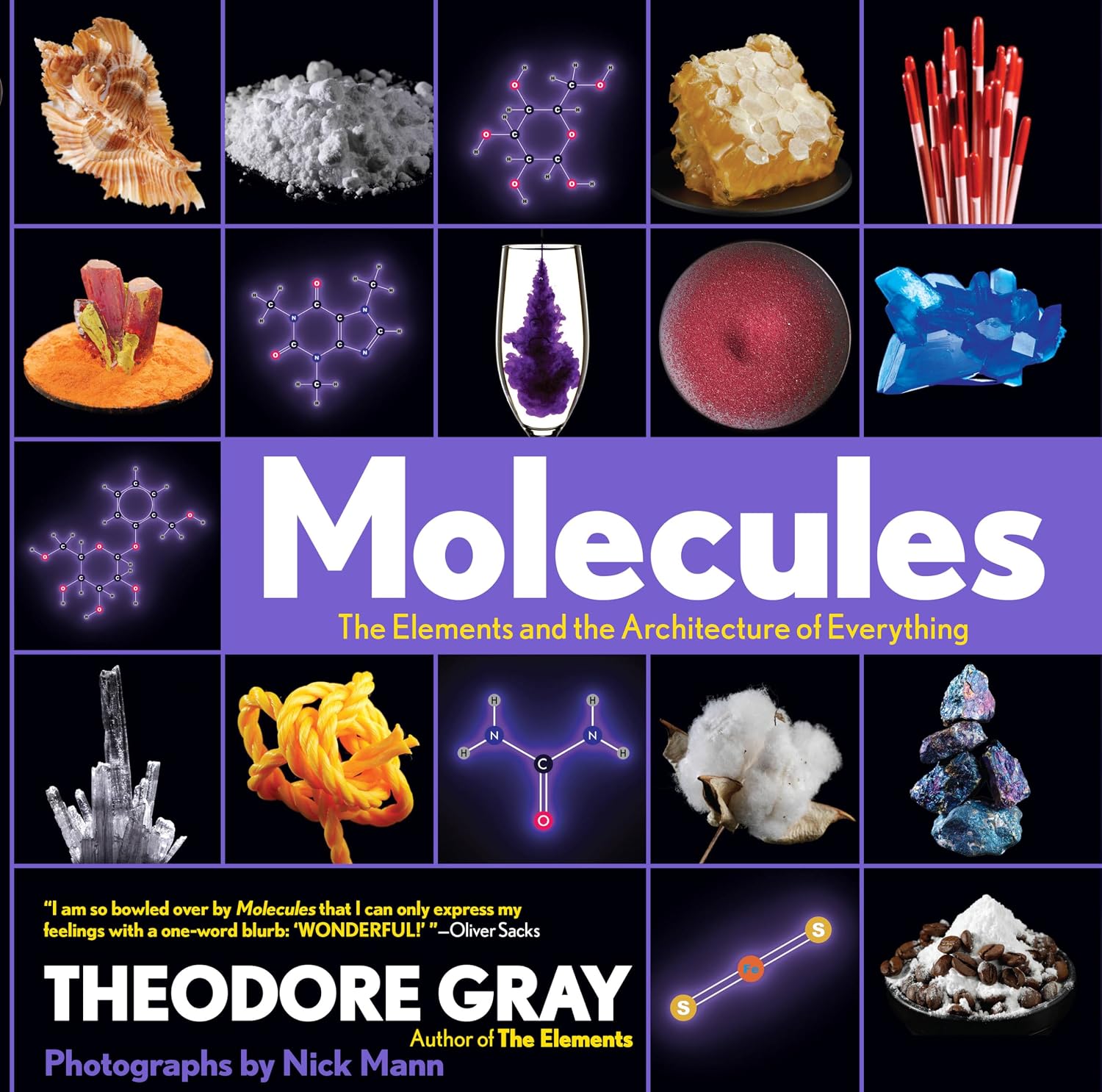 Molecules: The Elements and the Architecture of Everything: The Elements and the Architecture of Everything, Book 2 of 3