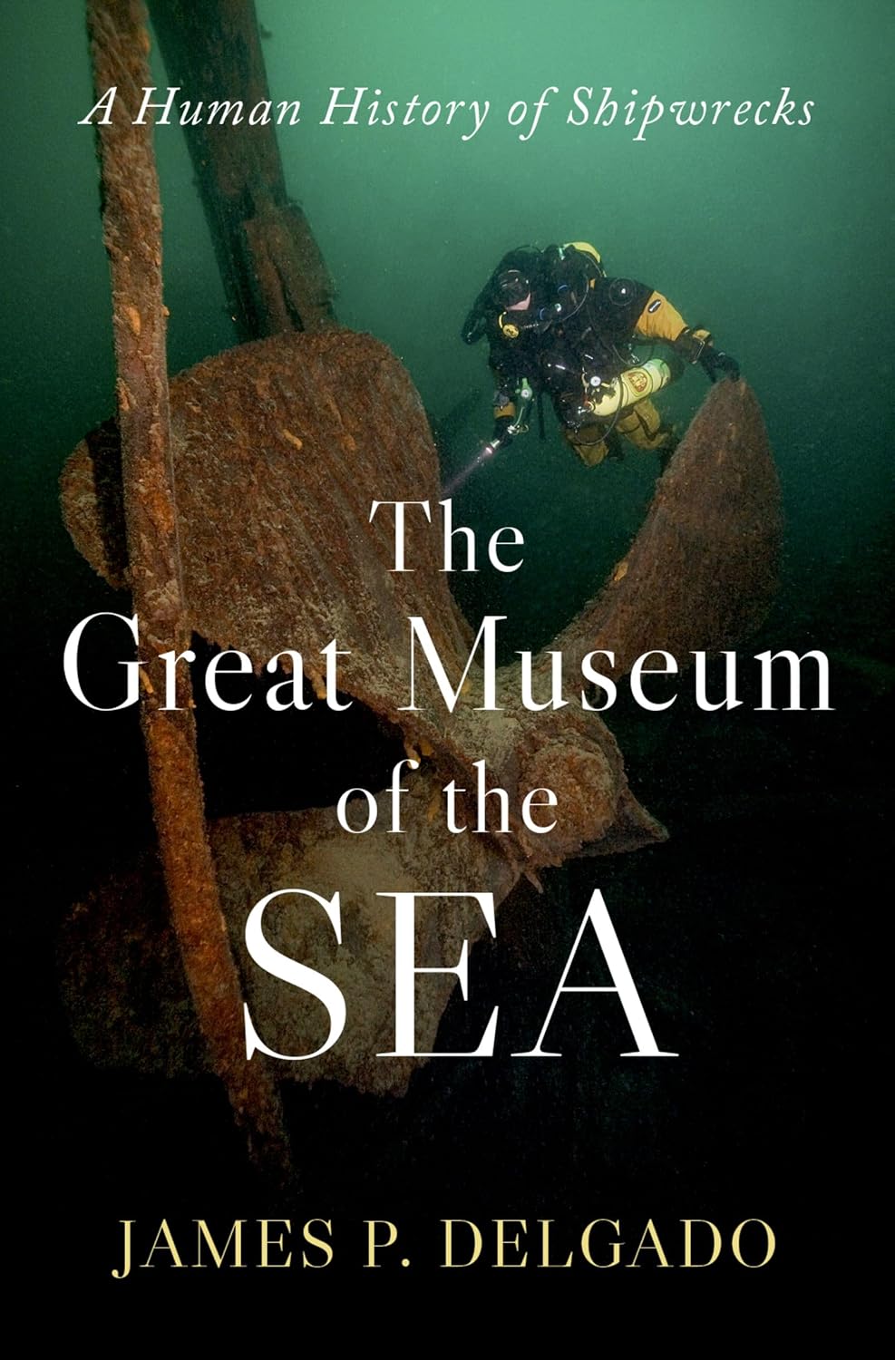 The Great Museum of the Sea: A Human History of Shipwrecks (English Edition) baixar o livro de graça