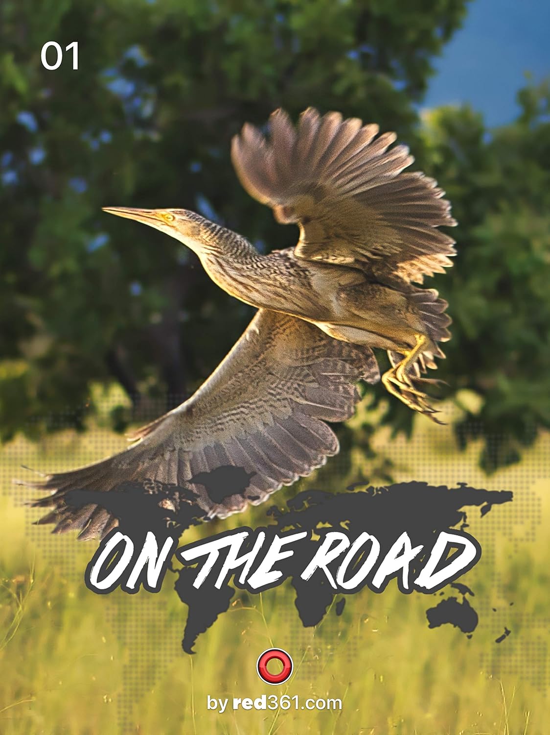On the road: Roraima baixar livro de graça