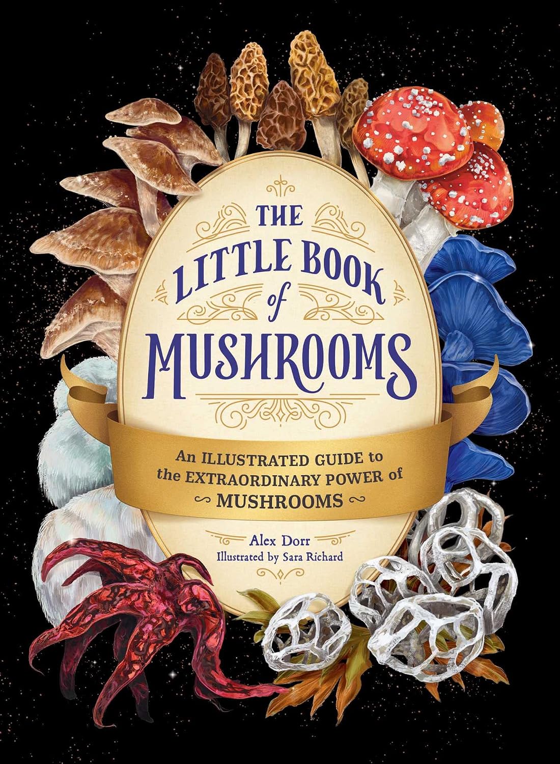 The Little Book of Mushrooms: An Illustrated Guide to the Extraordinary Power of Mushrooms baixar livro de graça