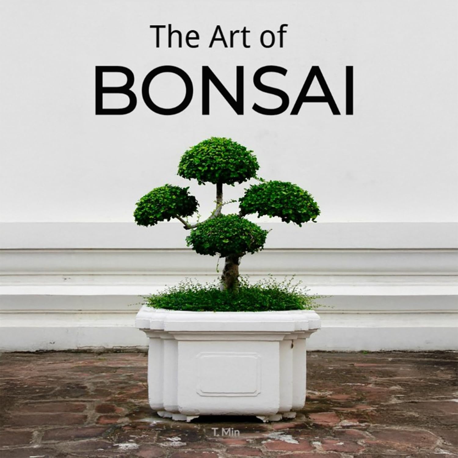 The Art of Bonsai: A Beginner's Guide to Understanding the History, Basics and Care of Miniature Trees baixar livro de graça