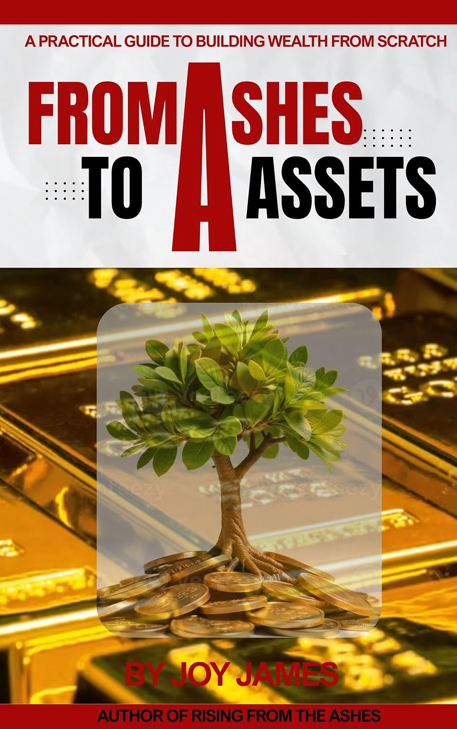 From Ashes To Assets: A Practical Guide to Building Wealth from Scratch (English Edition) baixar livro de graça