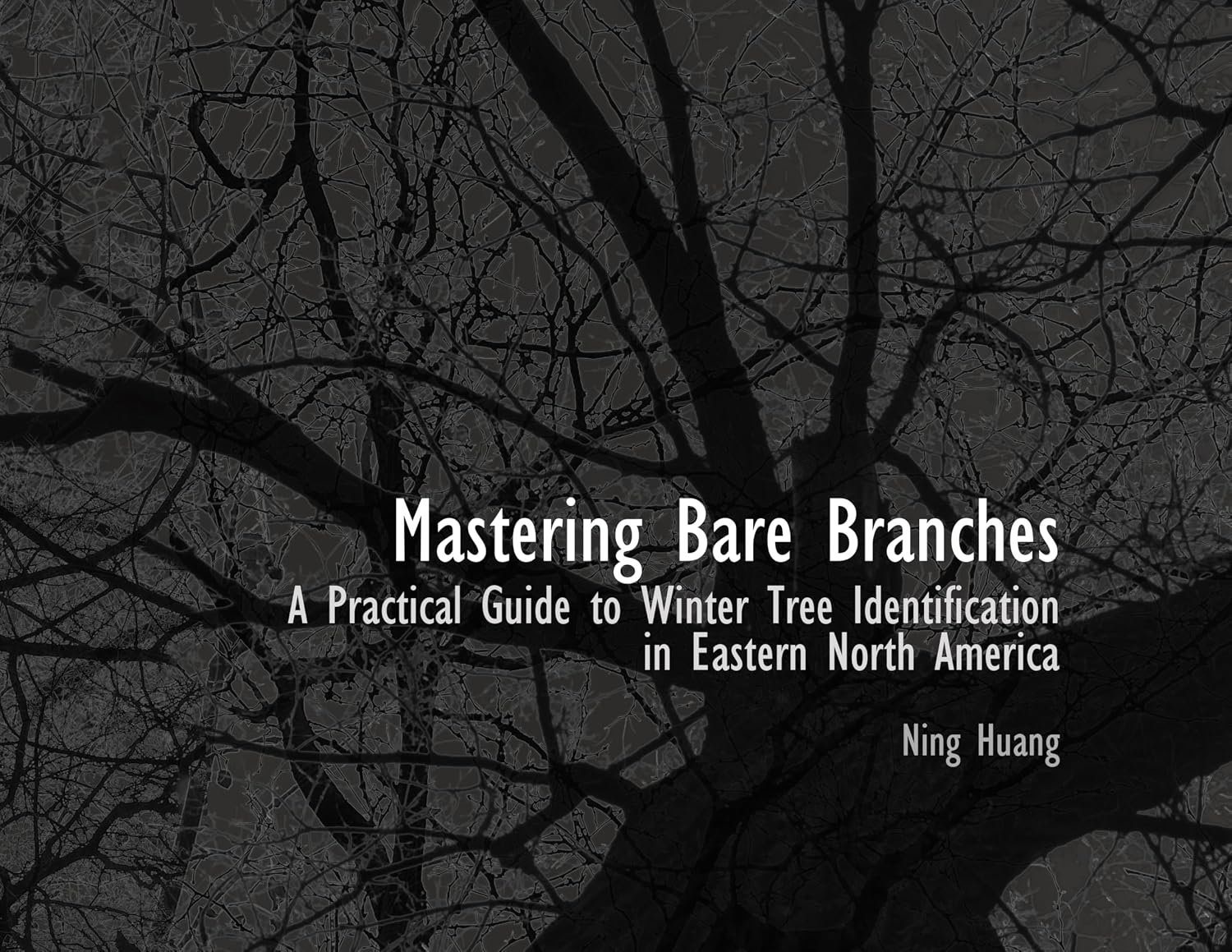 ler totalmente Mastering Bare Branches: A Practical Guide to Winter Tree Identification in Eastern North America (English Edition)