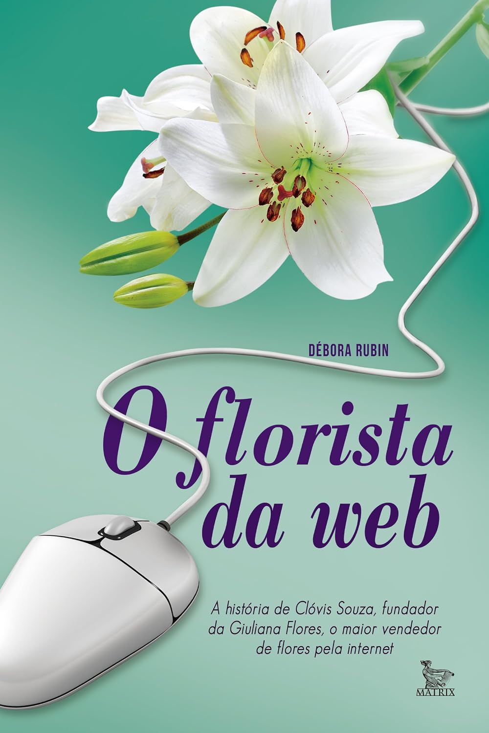 capítulo por capítulo baixar O florista da web; A história de Clóvis Souza, fundador da Giuliana Flores