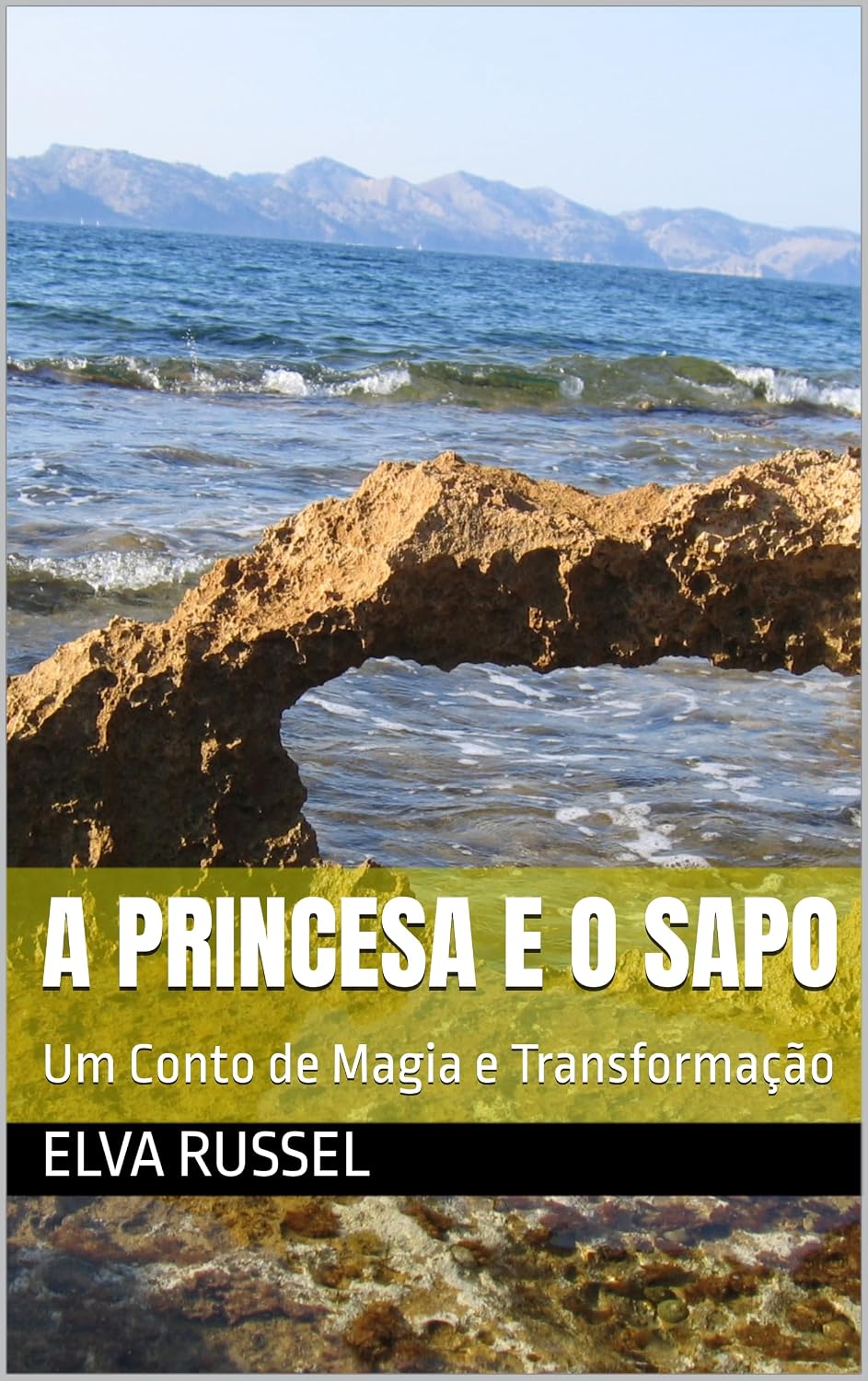 A Princesa e o Sapo: Um Conto de Magia e Transformação baixar livro de graça