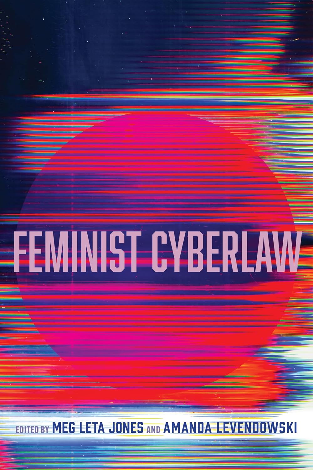 Feminist Cyberlaw (English Edition) baixar o livro de graça