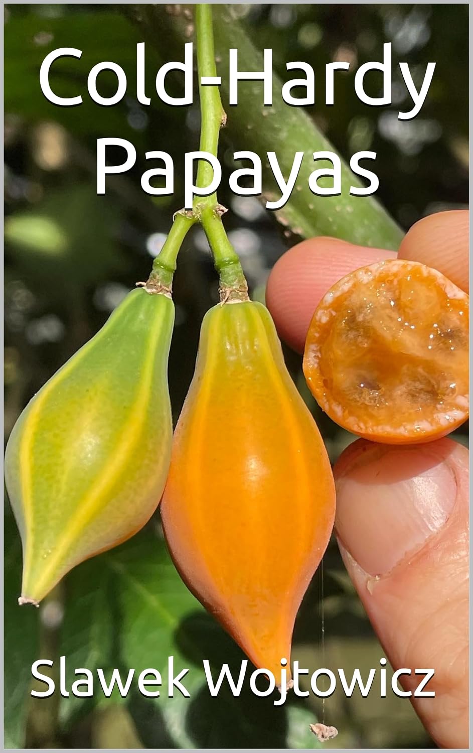 capítulo por capítulo baixar Cold-Hardy Papayas (English Edition)