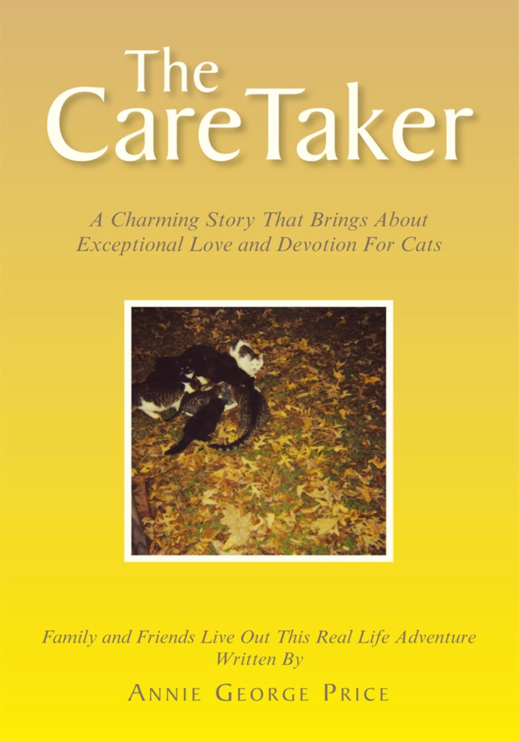 capítulo por capítulo baixar The Caretaker (English Edition)