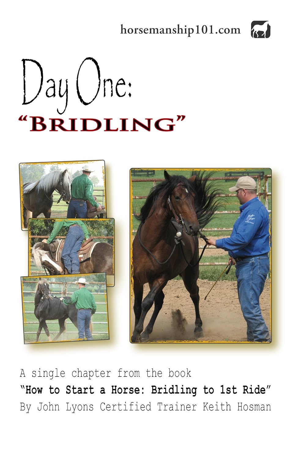 ler totalmente Day One: Bridling (How to Start a Horse Book 1) (English Edition)
