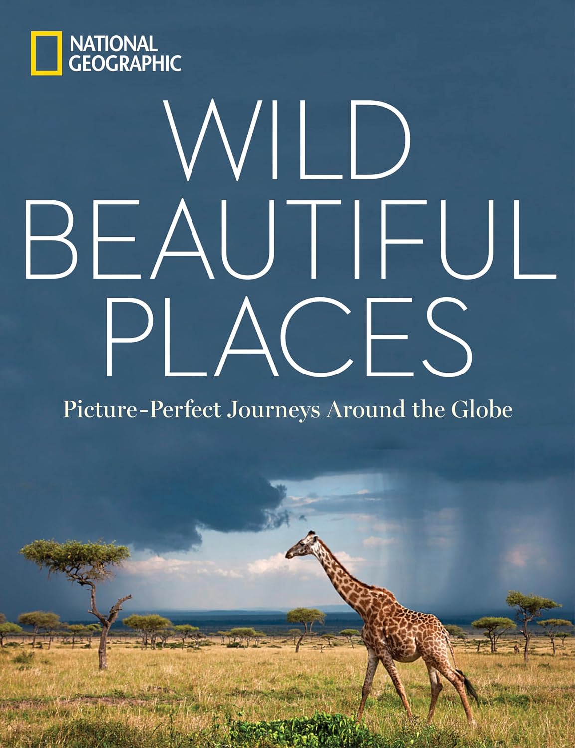 Wild, Beautiful Places: Picture-Perfect Journeys Around the Globe baixar o livro de graça