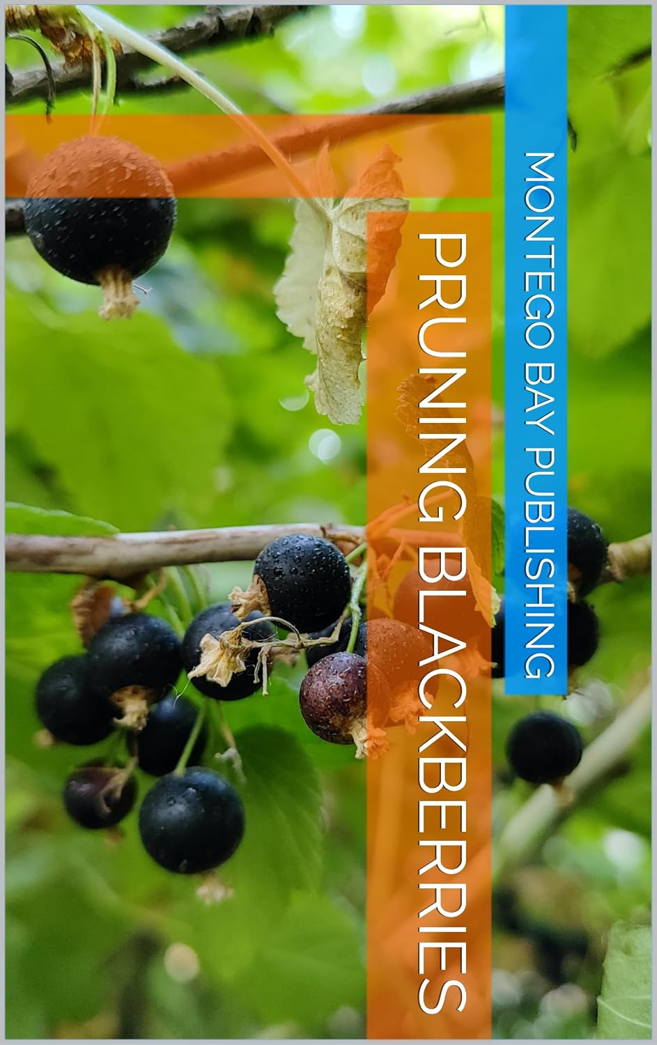 Pruning Blackberries (Pruning Techniques) (English Edition) baixar o livro de graça