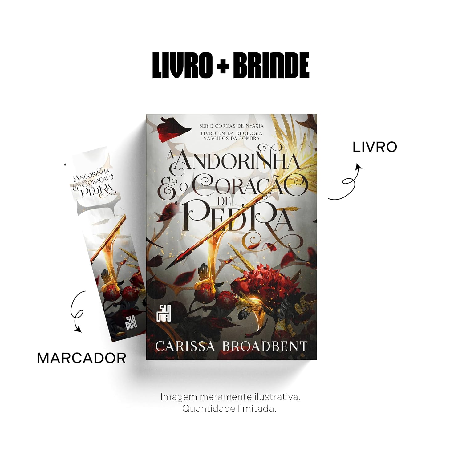 capítulo por capítulo baixar A andorinha e o coração de pedra: Livro 1 da duologia Nascidos da Sombra: 3
