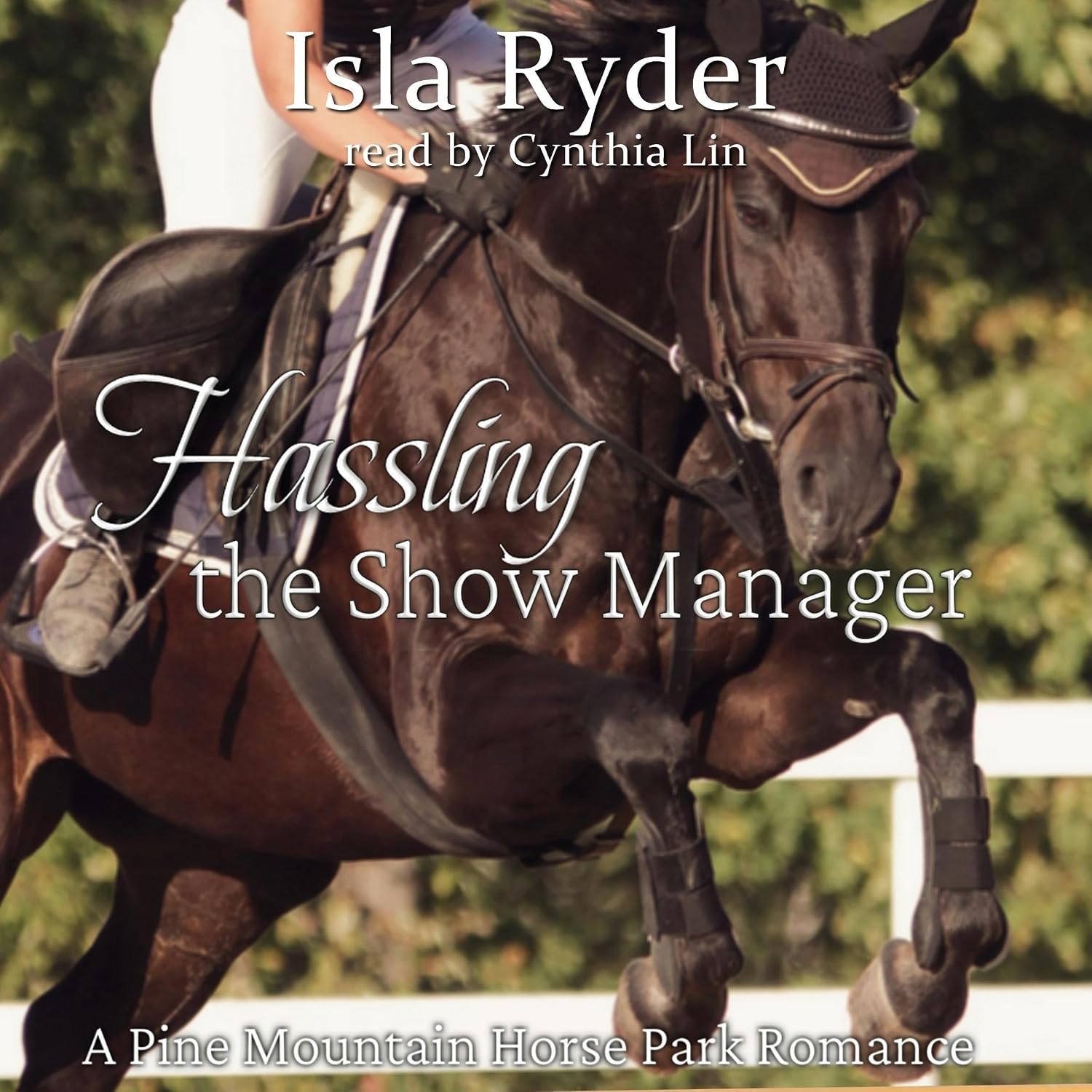 Hassling the Show Manager: A Pine Mountain Horse Park Romance baixar o livro de graça