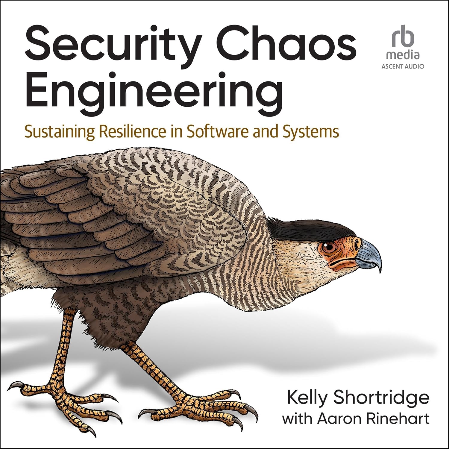 capítulo por capítulo baixar Security Chaos Engineering: Sustaining Resilience in Software and Systems