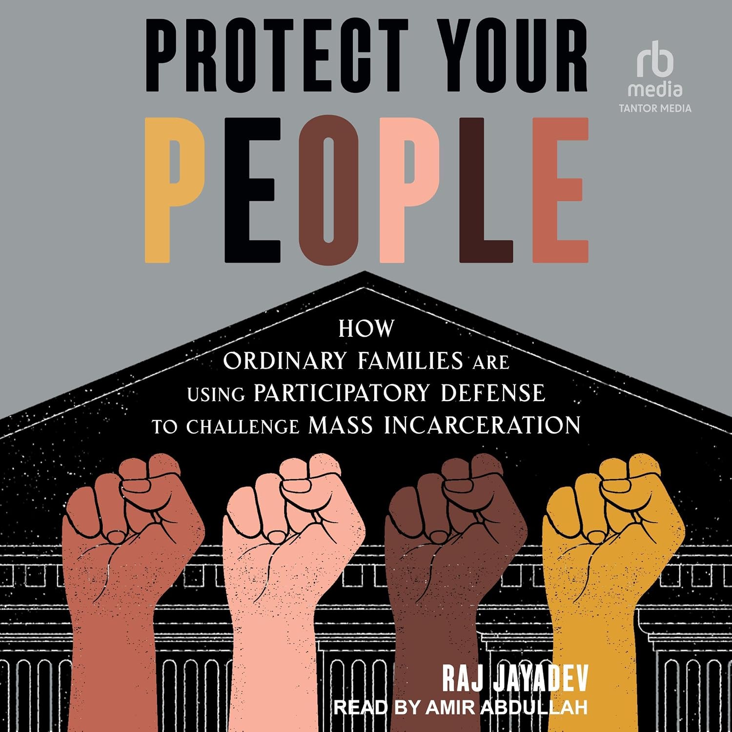 Protect Your People: How Ordinary Families Are Using Participatory Defense to Challenge Mass Incarceration baixar livro de graça