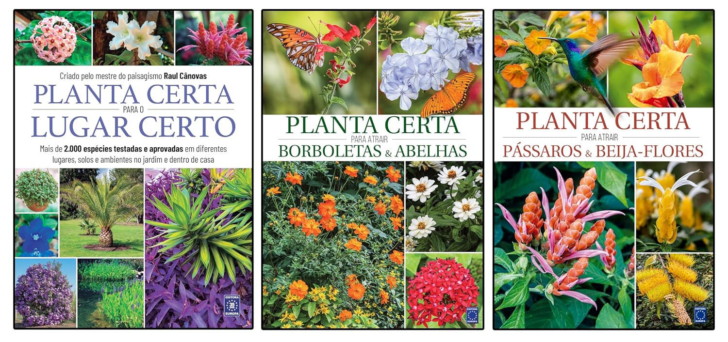 Super Kit - Planta Certa Para o Lugar Certo baixar livro de graça
