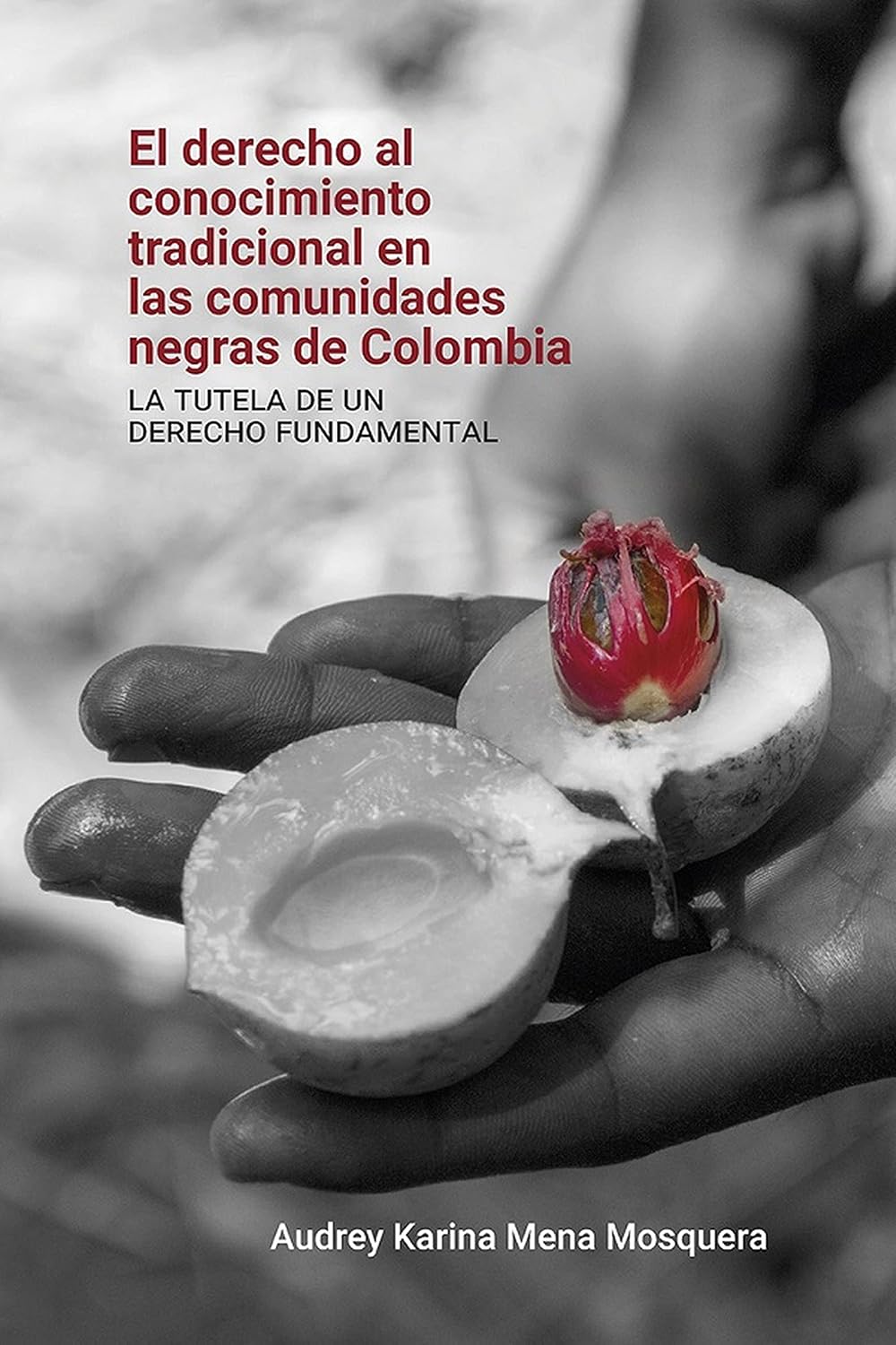 El derecho al conocimiento tradicional en las comunidades negras de Colombia:: La tutela de un derecho fundamental (Spanish Edition) baixar o livro de graça