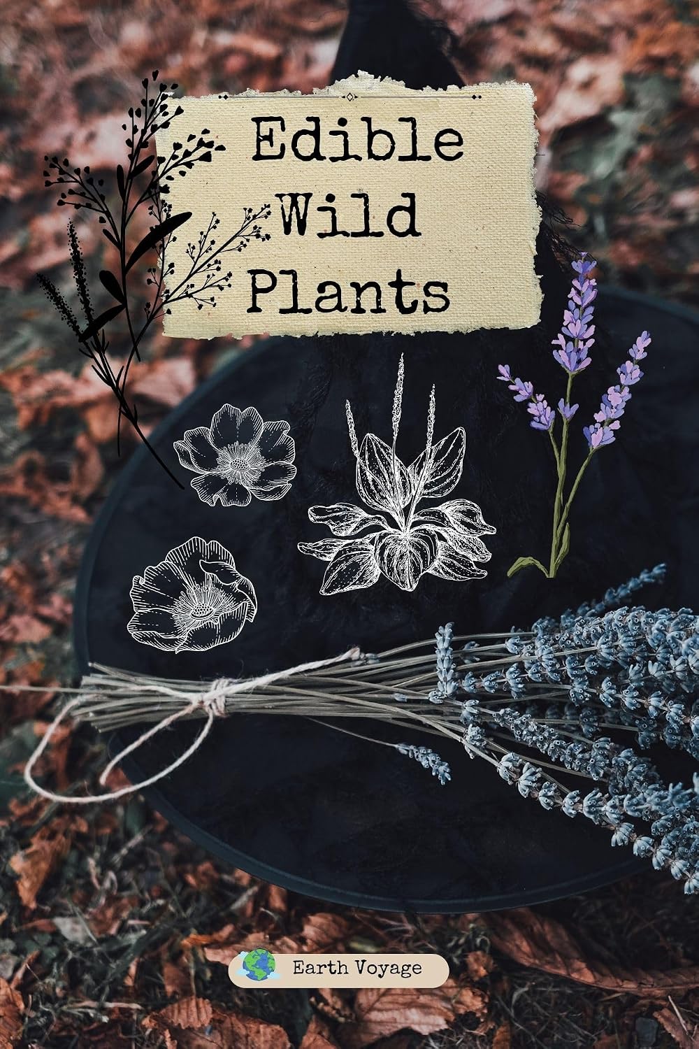Edible Wild Plants Foraging: Harvesting the Wild: Unveiling the World of Edible Plants (English Edition) baixar livro de graça