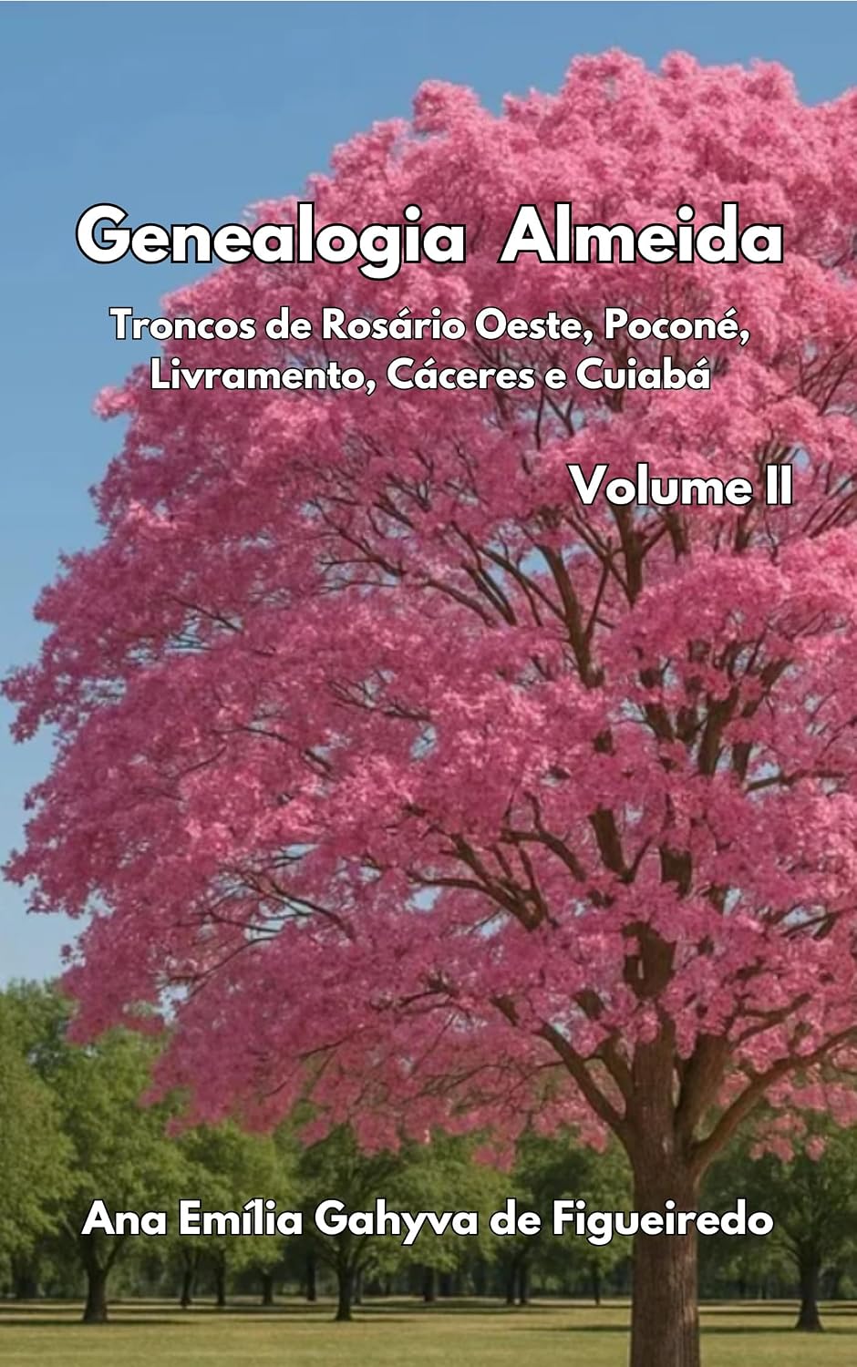 Genealogia Almeida - Volume II: Troncos de Mato Grosso: Rosário Oeste, Poconé, Livramento, Cáceres e Cuiabá baixar livro de graça