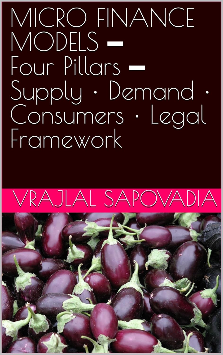 MICRO FINANCE MODELS ━ Four Pillars ━ Supply • Demand • Consumers • Legal Framework (English Edition) baixar livro de graça