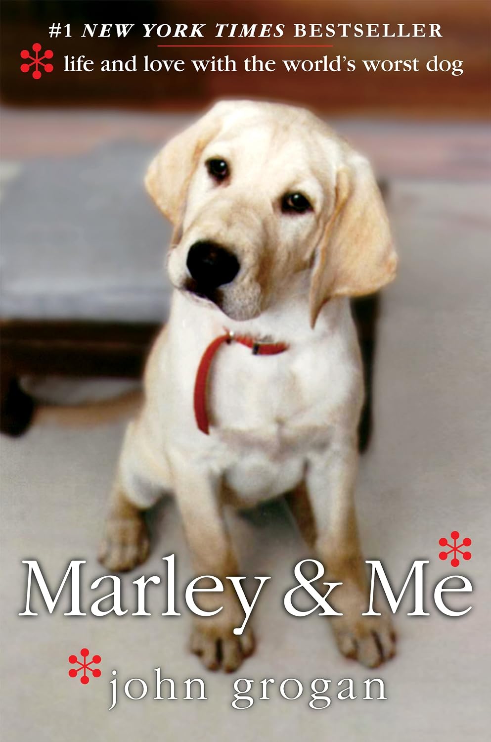 Marley & Me: Life and Love with the World's Worst Dog—Lessons in Love and Loyalty from a Neurotic Dog (English Edition) baixar livro de graça