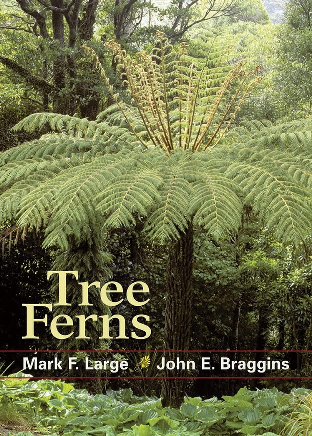 ler totalmente Tree Ferns