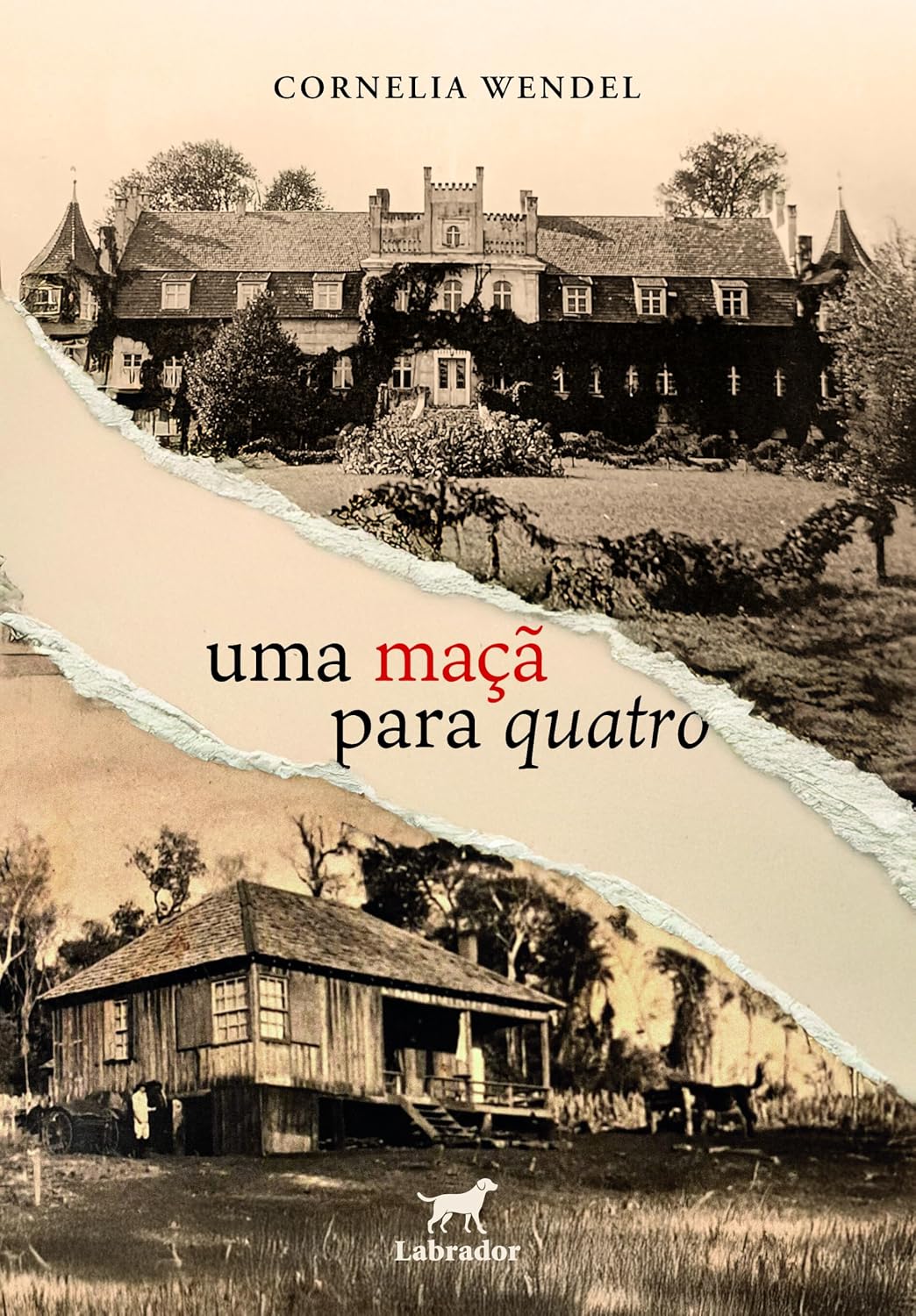 Uma maçã para quatro baixar o livro de graça