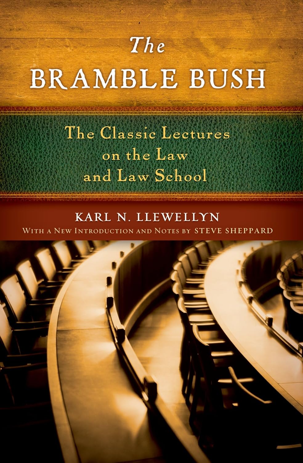 ler totalmente The Bramble Bush: The Classic Lectures on the Law and Law School