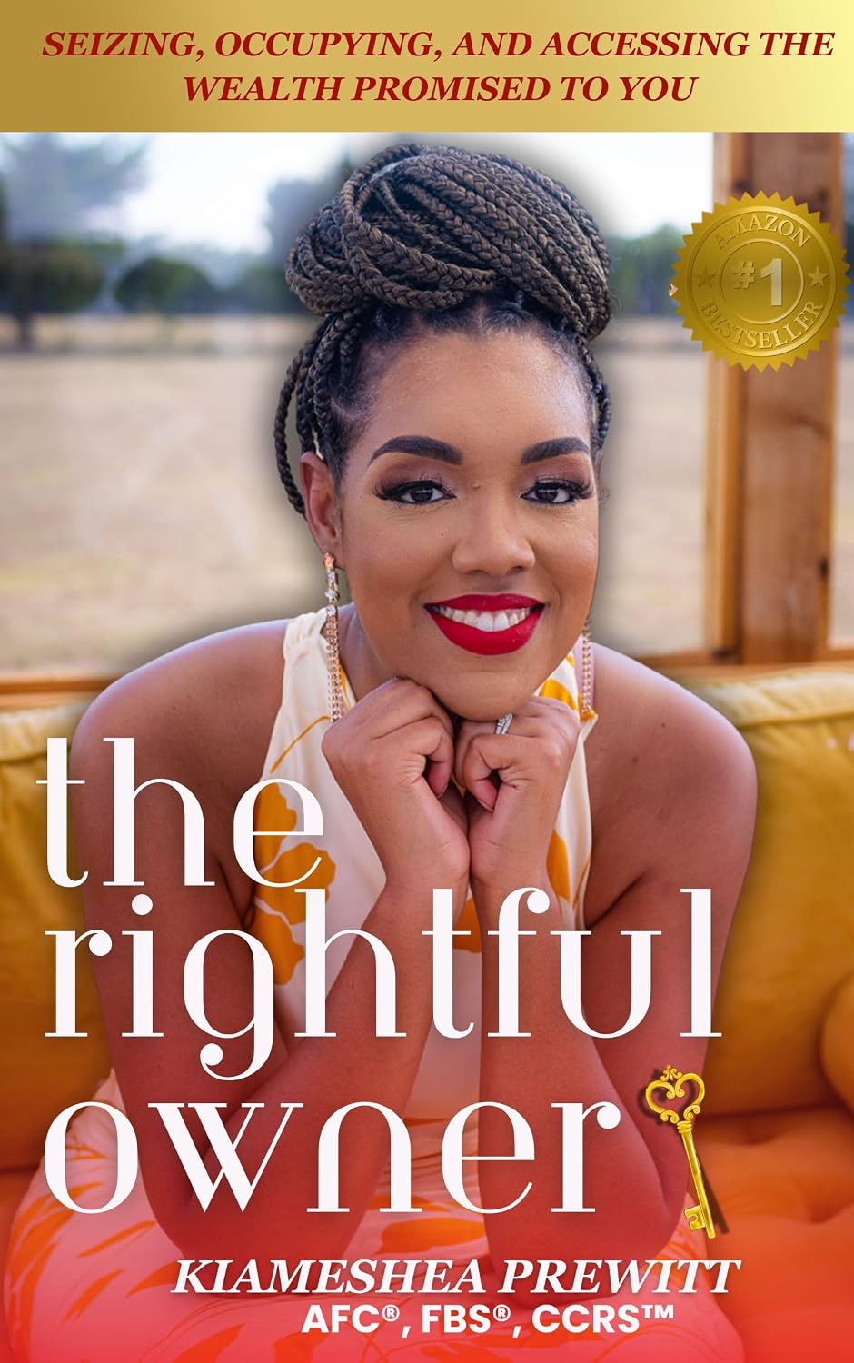 The Rightful Owner: Seizing, Occupying, and Accessing the Wealth Promised to You (English Edition) baixar livro de graça