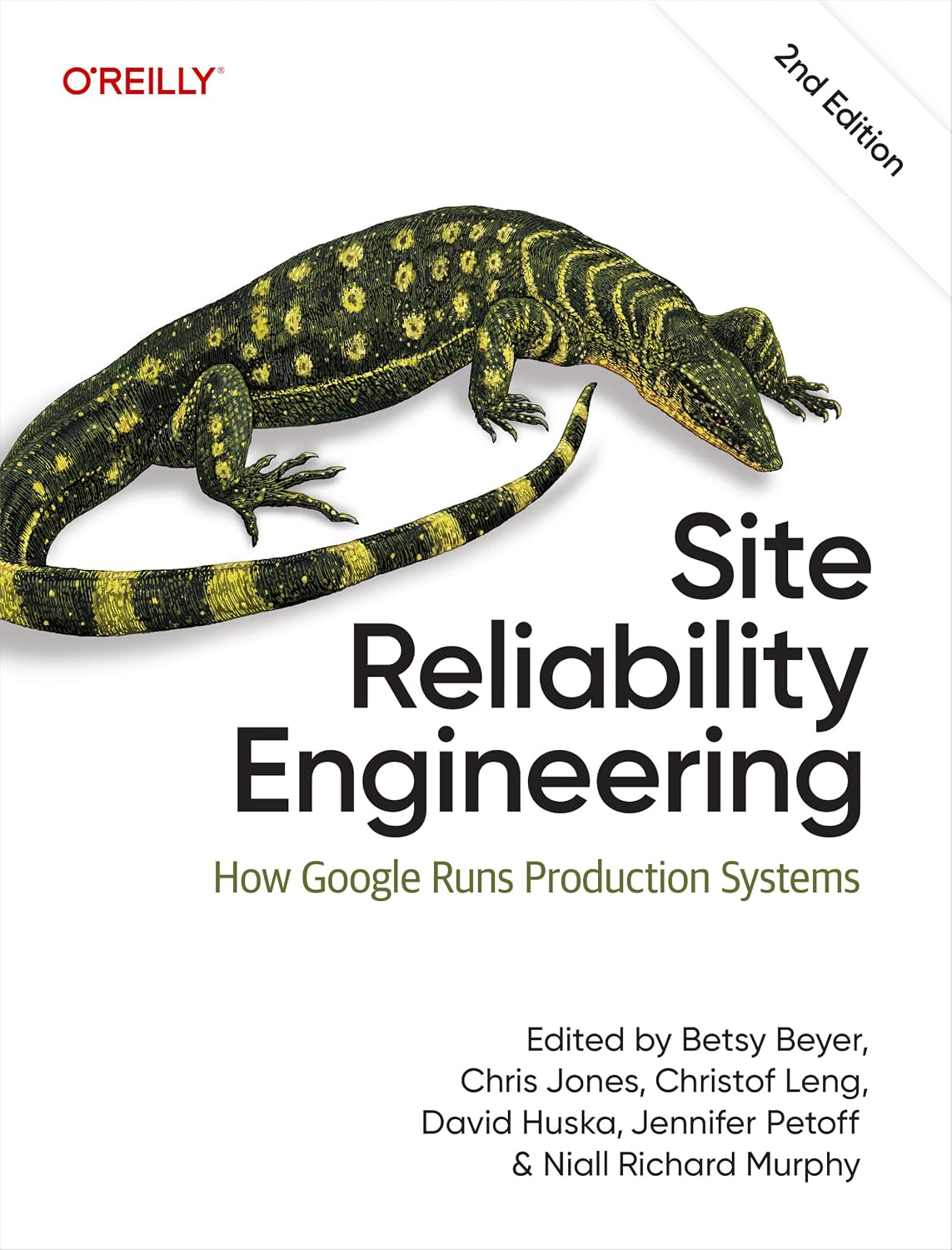Site Reliability Engineering: How Google Runs Production Systems (English Edition)