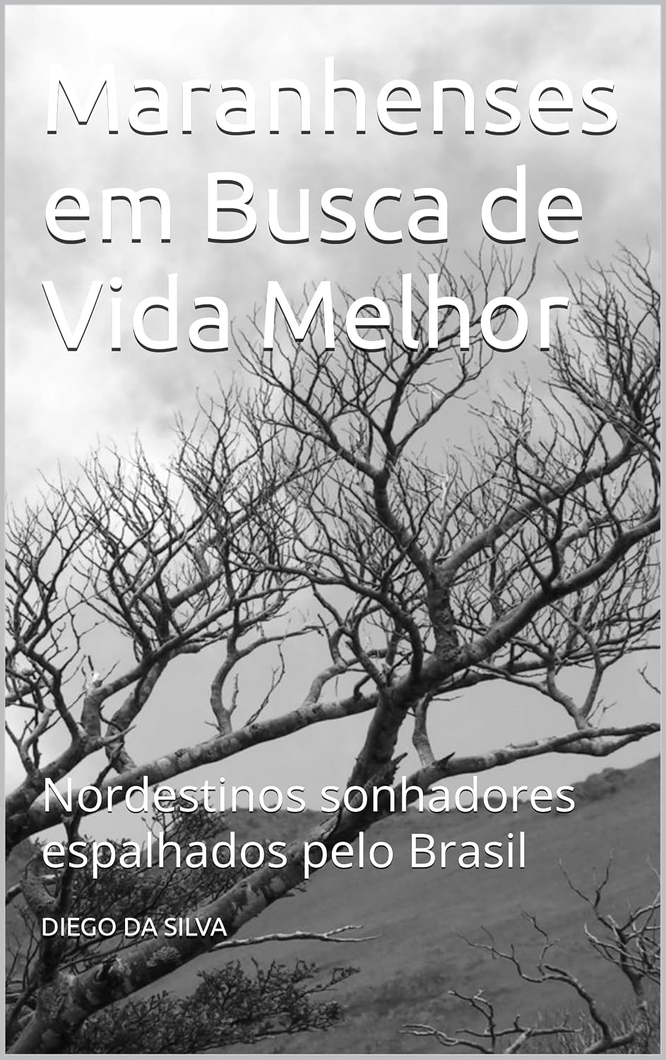 ler totalmente Maranhenses em Busca de Vida Melhor: Nordestinos sonhadores espalhados pelo Brasil