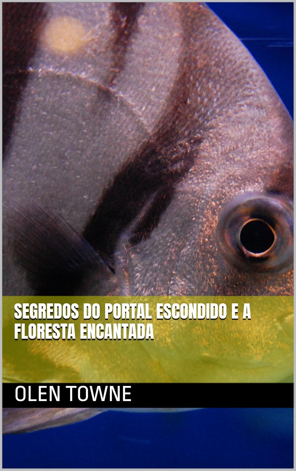 Segredos do Portal Escondido e a Floresta Encantada baixar o livro de graça