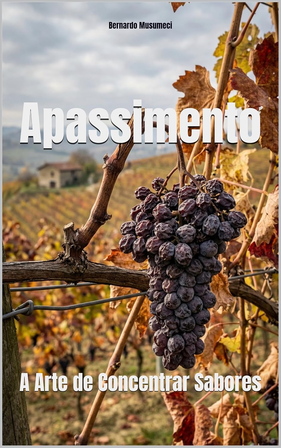 capítulo por capítulo baixar Apassimento: A Arte de Concentrar Sabores (Wines of the World)