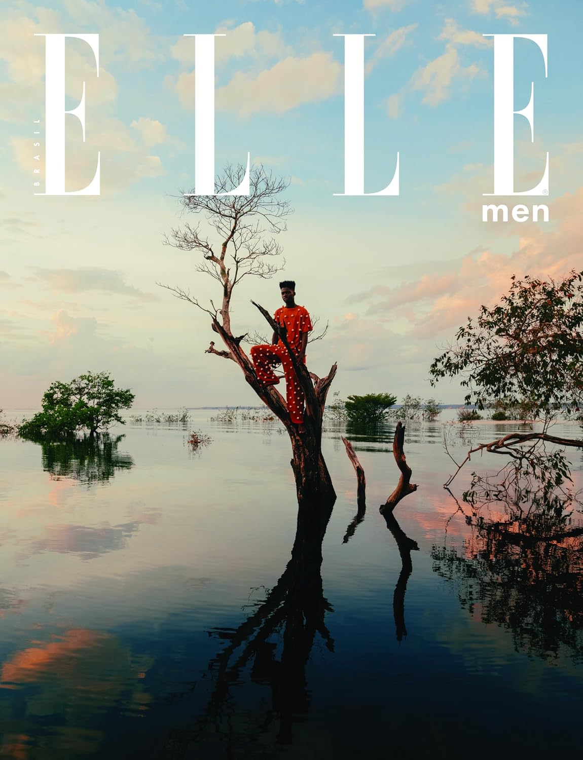 ELLE Men Vol. 4: Capa 04 - Amazonas baixar o livro de graça