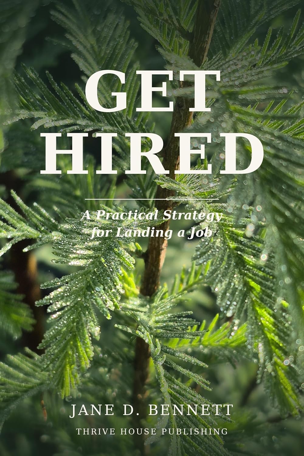 ler totalmente Get Hired (English Edition)
