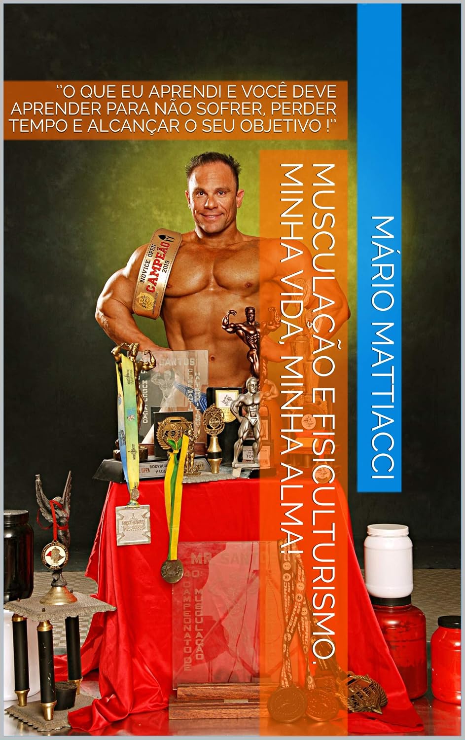 MUSCULAÇÃO E FISICULTURISMO. MINHA VIDA, MINHA ALMA!: ‘’O QUE EU APRENDI E VOCÊ DEVE APRENDER PARA NÃO SOFRER, PERDER TEMPO E ALCANÇAR O SEU OBJETIVO !’’ baixar livro de graça