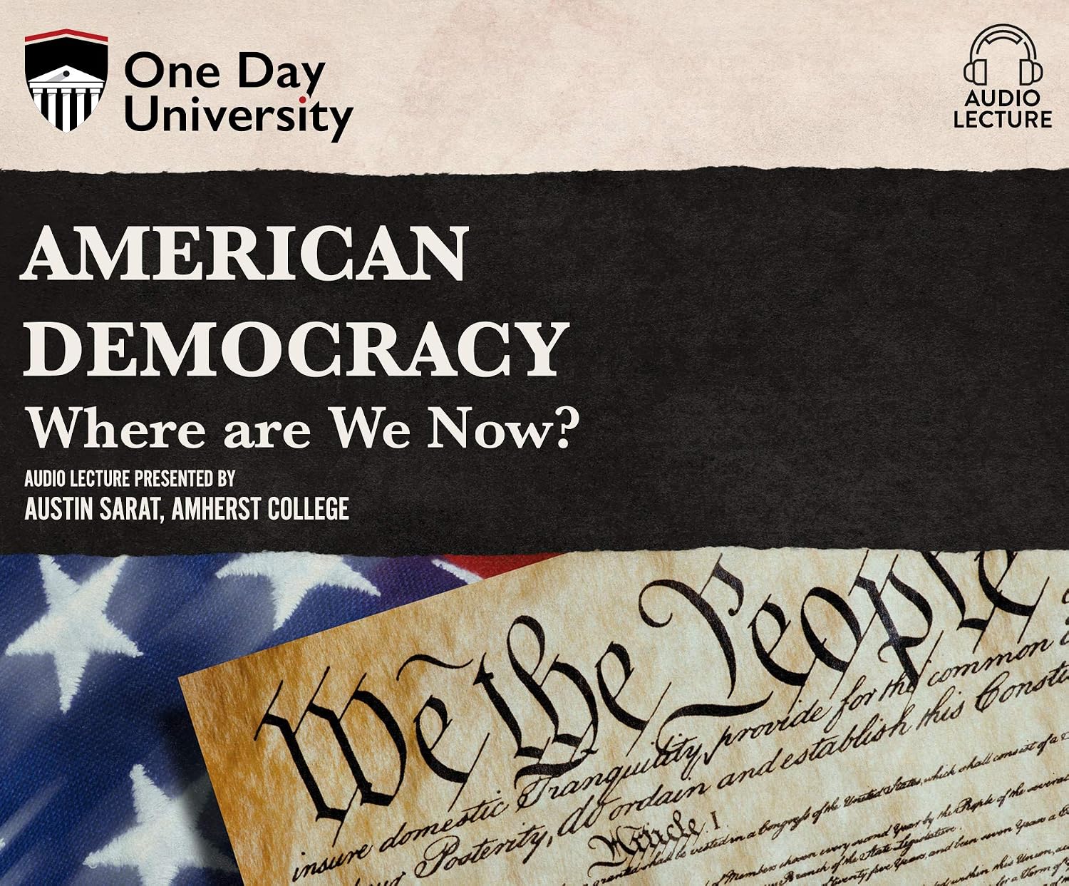 ler totalmente American Democracy: Where Are We Now?